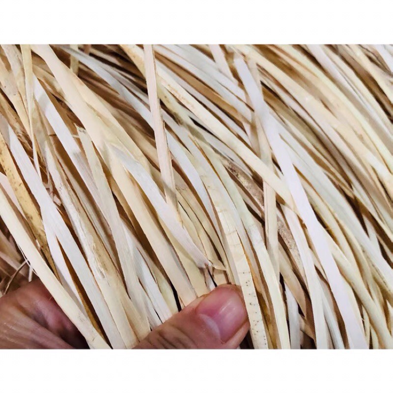 Поставщик ротанговых материалов, ротанговый тростник, ротанговый сердечник, плоский тростник для корзины, Плетеный материал
