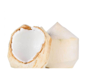 Coco Joven con Corte Diamante Premium Directo de la Granja de Vietnam - Coco Joven con Corte Diamante Limpio y Listo para Beber para Exportación - Product Image 5