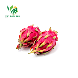Fruta del Dragón Orgánica Congelada IQF con Certificación ISO de Vietnam, Dulzura Natural, Conservación en Agua, Empaque a Granel/Al Vacío, Marca VTP - Product Image 2