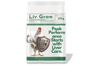 Liv Grow: rehausseur de santé du foie à base de plantes pour la volaille, optimise la fonction hépatique, stimule la croissance et la productivité - Product Image 2