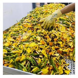 ผักและผลไม้สดแบบแห้งผสมผลไม้เขตร้อนอาหารว่างผสมผักและผลไม้ผสมระดับพรีเมียม - Product Image 1