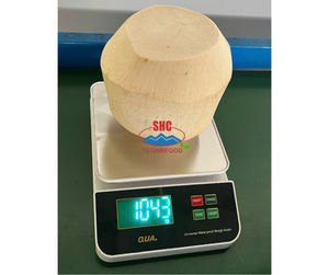 Coco Vietnamita Ben Tre Fresco y Joven de Primera Calidad con 60 Días de Vida Útil, Dulce y Jugoso para Exportación - Product Image 4
