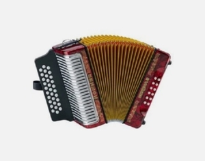 Acordeón Diatónico STANDARD PREMIUM de 31 Botones, Coronas II con Bolsa Negra 3500FB /F - Product Image 2