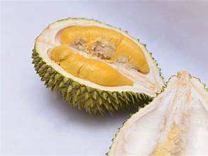 PECHOS DE DURIAN CONGELADOS DE ALTA CALIDAD INGREDIENTES PUROS DE ETIQUETAS LIMPIAS A BASE DE PLANTAS PARA APOYAR LA SALUD INMUNE - Product Image 4