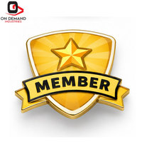 Badges de membre en acier de qualité supérieure, avec illustrations personnalisées, finition plaquée or, attache sécurisée, respectueux de l'environnement, reconnaissance professionnelle