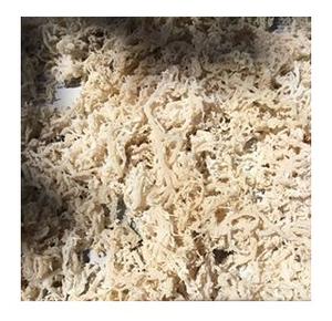 Cheap Price Irish <b>Sea</b> <b>Moss</b> 5-7% Moisture - Eucheuma Cottonii Seaweed - Premium New Dry Real Seaweed Vietnam White Seamoss - Product Image 6