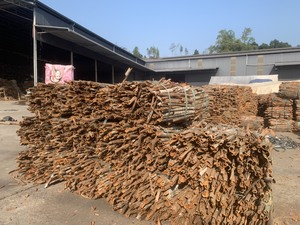 Vietnam Cinnamon- Cigarette-Stick- Broken- Whole- Split Cinnamon/Cassia de Vietnam TOP Factory-WS: + 84-915355383 - Product Image 6