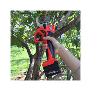 <span class=keywords><strong>Sécateur</strong></span> électrique 40mm pour couper les branches épaisses Outils de jardinage professionnels <span class=keywords><strong>sans</strong></span> fil légers et <span class=keywords><strong>sans</strong></span> <span class=keywords><strong>effort</strong></span> - Product Image 2
