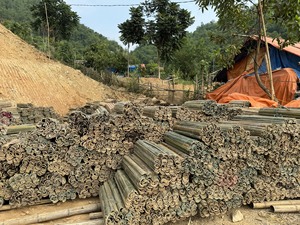 Clôture de piquet en bambou demi-coupe vietnamienne fendue plat en bambou à partir de matières premières en bambou Source 2025 - Product Image 4