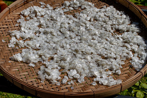 เกล็ดปลาแห้งวัตถุดิบจากเวียดนามผลิตภัณฑ์ทางการเกษตร - Product Image 3