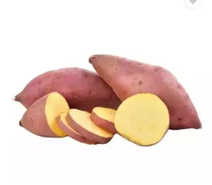 حصاد جديد بطاطس حلوة عالية الجودة من مزرعة فيتنام! البطاطا الحلوة الطازجة سعر الجملة للتصدير