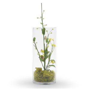 VCY0612 - Vase en verre cylindrique transparent - 6 x 12 - Product Image 3