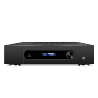 Amplificateur de puissance professionnel mono canal 100W montable en rack avec entrée haute puissance, écran LCD, amplificateur de puissance pour caisson de basses de cinéma maison