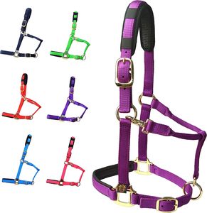CABALLO EQUINO NYLON/ PP HALTER ACCESORIOS PERSONALIZADOS TODOS LOS TAMAÑOS VARIOS COLORES MONTA A GRANEL CABALLEROS INGLES DE LA INDIA - Product Image 1