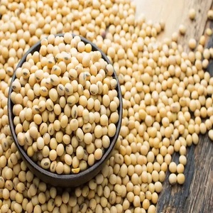 NON-GMO Sojabeans Secas De Soja Venda Quente De Feijão De Soja Rica Proteína Brasil Soja Amarela