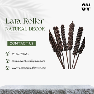 Popular calidad superior al por mayor Natural Lata Roller Lata y creación de vid para arreglos florales secos - Product Image 6