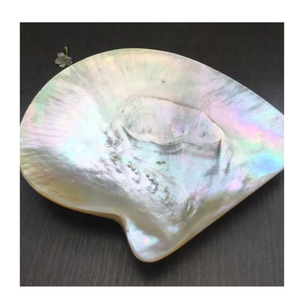 Decorative Handmade Mother of Pearl Plate Natural Shell Dish for Fine Dining Hotels Catering Bulk Order Export Supplier - Product Image 3