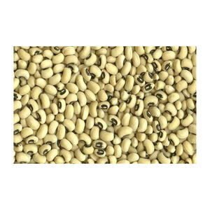 Guisantes negros confiables suministrados para transacciones a granel de calidad premium - Product Image 1