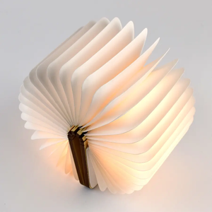 Gadgets 2025 : Lampe de livre Illume pour éclairer l'atmosphère, cadeau promotionnel marketing, éclairage d'ambiance magnétique pour la décoration de la maison et de la bibliothèque - Product Image 1