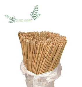 ไม้ไผ่ธรรมชาติ100% เสาค้ำไม้ไผ่สำหรับก่อสร้างไม้เท้าค้ำเดินจากผู้ผลิต Eco2go เวียดนาม - Product Image 2