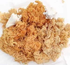 New 2023 <b>Dried</b> Sea <b>Moss</b> with Best Price From in Viet Nam // / MS. JENNIE (+84 358485581) - Product Image 1