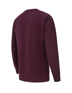 Último diseño 2026 otoño deporte al aire libre hombres ropa ajuste Regular sólido sudadera al por mayor personalizado 100% algodón - Product Image 1