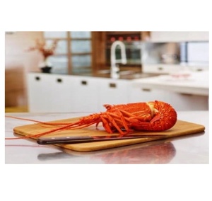 กุ้งมังกรออสเตรเลียแช่แข็งจากการจับปลาในธรรมชาติ ส่งออกอาหารทะเลเกรดพรีเมียมสดใหม่จากผู้จัดจำหน่ายที่เชื่อถือได้ - Product Image 1