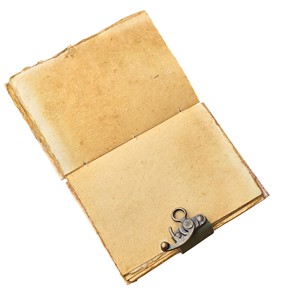 Bird Nest Printed Hardcover <b>Diary</b> Journal with Metal Closure and Rusty Pages Compact Journal with Plain Pages - 7 inch X <b>5</b> inch - Product Image 4