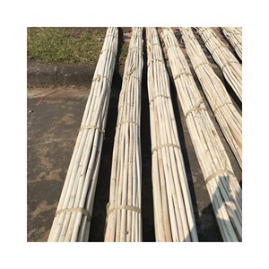 คุณภาพสูง MANAU หวายอ้อยหวายหลักเลือกที่ดีที่สุดสำหรับ WEBBING เฟอร์นิเจอร์ในราคาที่ดีที่สุดสำหรับการส่งออก - Product Image 2