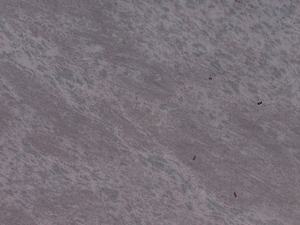 Dalles de carreaux de granit bleu Bahama Surface polie Design moderne Durable pour comptoirs Villas d'Inde pour maisons bureaux - Product Image 3