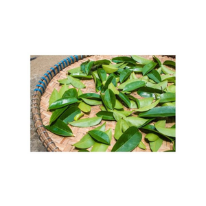 เพิ่มความสุขภาพของคุณด้วยใบกัวน่าบาน่า: อินทรีย์ แห้ง และบรรจุด้วยความดี - Product Image 5