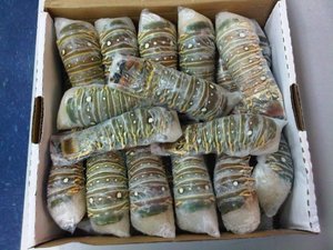 All'ingrosso Code di aragosta congelate fresche dal vivo aragosta aragosta in scatola stile per uso alimentare - Product Image 6