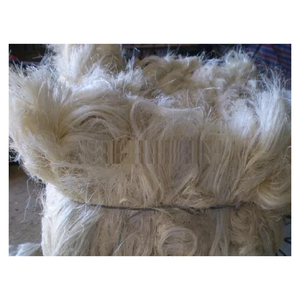 Fibra de sisal natural de grado SSUG para la fabricación de cuerdas y cepillos Fibra larga de alta resistencia para uso industrial - Product Image 3