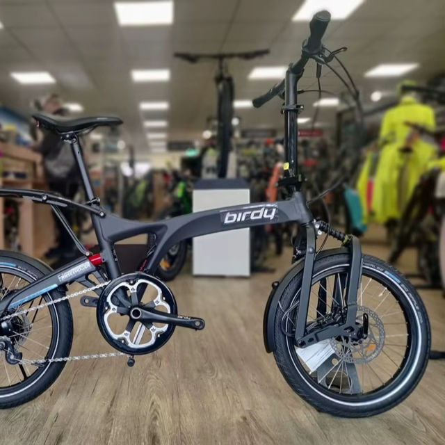 birdy folding bike: Compact Stylish Urban Ride