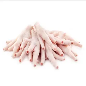 Frozen Chicken Feet Chicken Paws for Sale / 100% Fresh Frozen Chicken Feet Bulk Purchase OEM Packaging