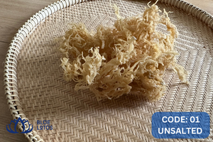 มอสทะเลแห้งมอสทะเลไอริสทะเลมอส Chondrus ทะเลทะเลอาหารมังสวิรัติจากจังหวัด Binh Thuan เวียดนาม - Product Image 3