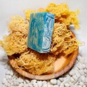 Barre de savon pour le corps transparent fait à la main et aux algues de mer à base de plantes biologiques naturelles de marque privée OEM taille d'échantillon du Vietnam - Product Image 1