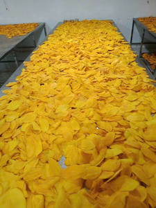 Vietnam Manufacturer, Healthy Natural Dried Fruit Snack: Soft Dried <b>Mango</b> Dehydrated <b>Mango</b>, OEM And Private Label. - Product Image 5