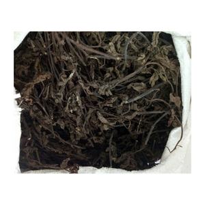 Feuille d'herbe noire du Vietnam avec de l'herbe Mesona séchée utilisée dans la production de thé en gelée d'herbe ingrédient à base de plantes naturelles en gros en vrac - Product Image 4