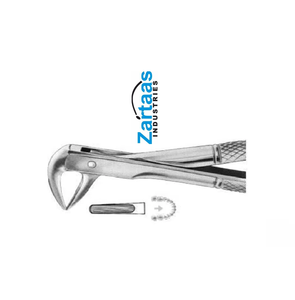 Fórceps de extracción de acero inoxidable de alta calidad, fig137 incisivos inferiores y raíces, herramienta de cirugía Oral Dental quirúrgica - Product Image 5