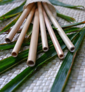 Pajitas de bambú artesanales de Vietnam, pajitas para beber reutilizables hechas de material de bambú seco - Product Image 4