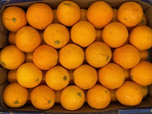 Naranjas Navel maduras frescas orgánicas asequibles a la venta - Product Image 3