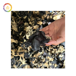 เชื้อราหูเมฆในราคาที่เหมาะสม-ประสิทธิภาพที่เชื่อถือได้สำหรับผู้ใช้ทุกคน - Product Image 3