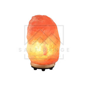 Lampe de sel de l'Himalaya sculptée, artisanat naturel de haute qualité, taille personnalisée, décoration intérieure, nouveauté, prix de gros - Product Image 1