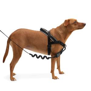 Norwegian Luxury Softer-Walk <b>Dog</b> <b>Harness</b> in Gotham Style Small <b>Medium</b> Large Sizes Polyester Pet <b>Harness</b> for <b>Dog</b> Walking - Product Image 4