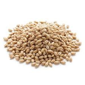 Malta de cebada de alimentación seca orgánica para consumo humano animal 25/50kg Embalaje Cultivo sostenible de origen brasileño - Product Image 2