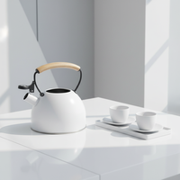 Haute qualité 3L en acier inoxydable eau chaude théière cuisine maison cuiseur à eau avec sifflet bouilloire et peinture de couleur pour café