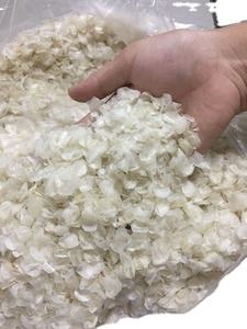 LAS ESCAMAS DE PESCADO TIENEN EL MEJOR PRECIO DEL MERCADO - Product Image 5