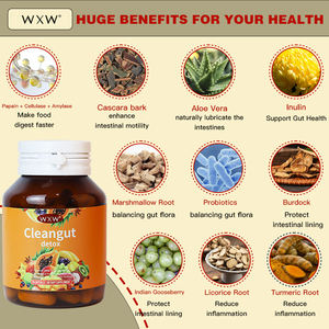 Cápsulas Veganas Naturales para la Limpieza del Colon WXW, Limpieza de 15 Días, Píldoras de Apoyo para el Intestino y el Colon, Cápsulas con Extracto de Aloe Vera - Product Image 2