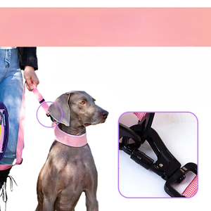 Adjustable Nylon <b>Dog</b> <b>Harness</b> with Buckle Closure for <b>Medium</b> <b>Dogs</b> in Purple Pink Green Colors - Product Image 4